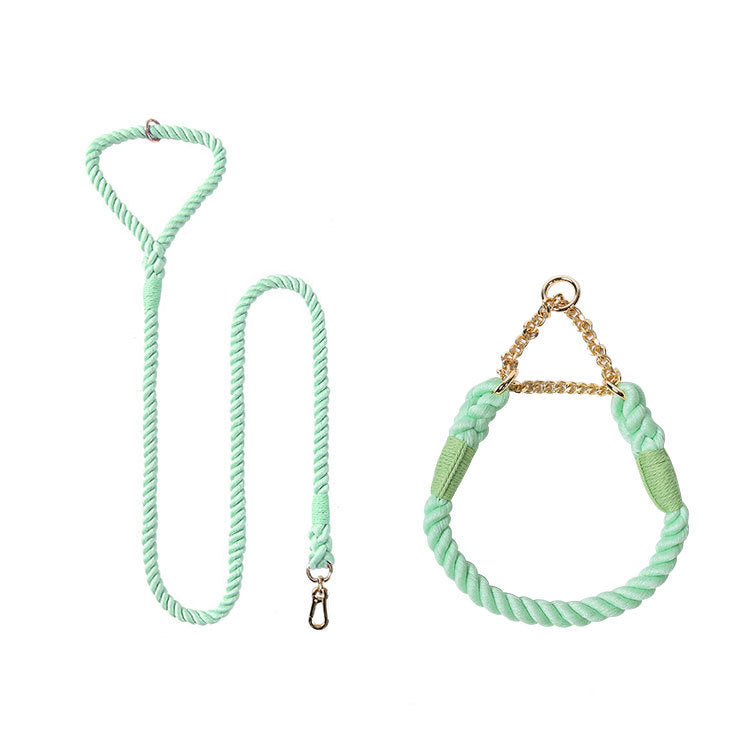 Set Collier & Laisse en Corde Tressée