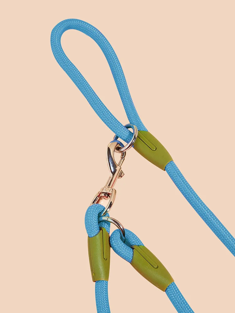 Laisse en nylon MAINLIBR'