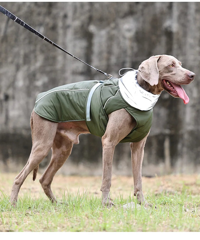 Veste imperméable rembourrée OCHO