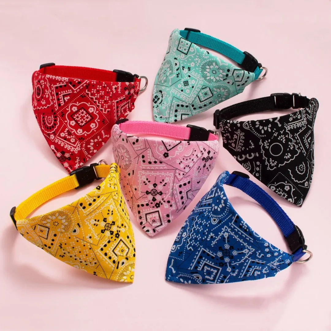 Collier Bandana CARLITO