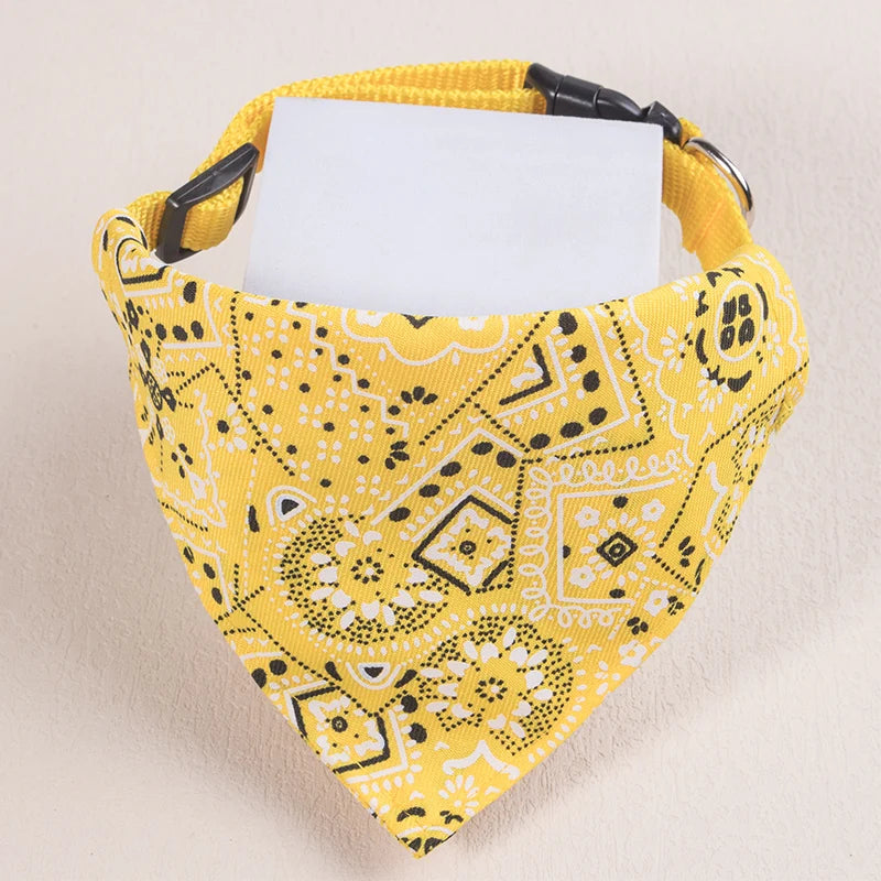 Collier Bandana CARLITO