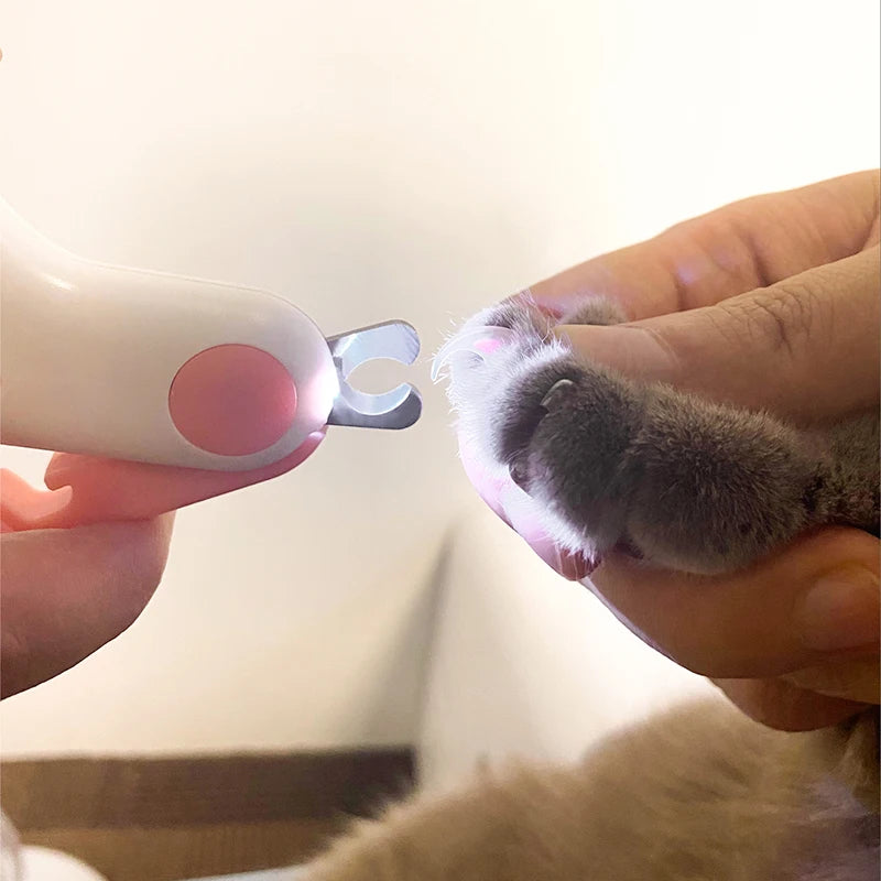 Coupe Griffes à lumière LED