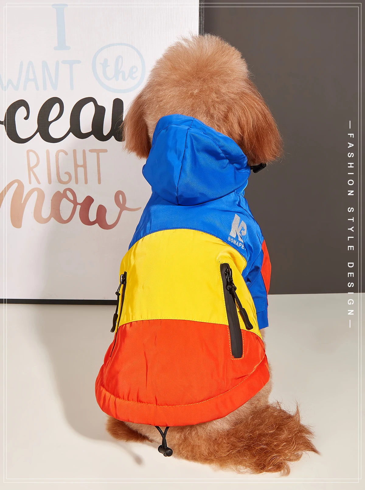 Veste imperméable & polaire BONAPET