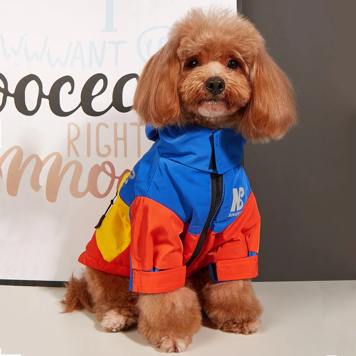 Veste imperméable & polaire BONAPET
