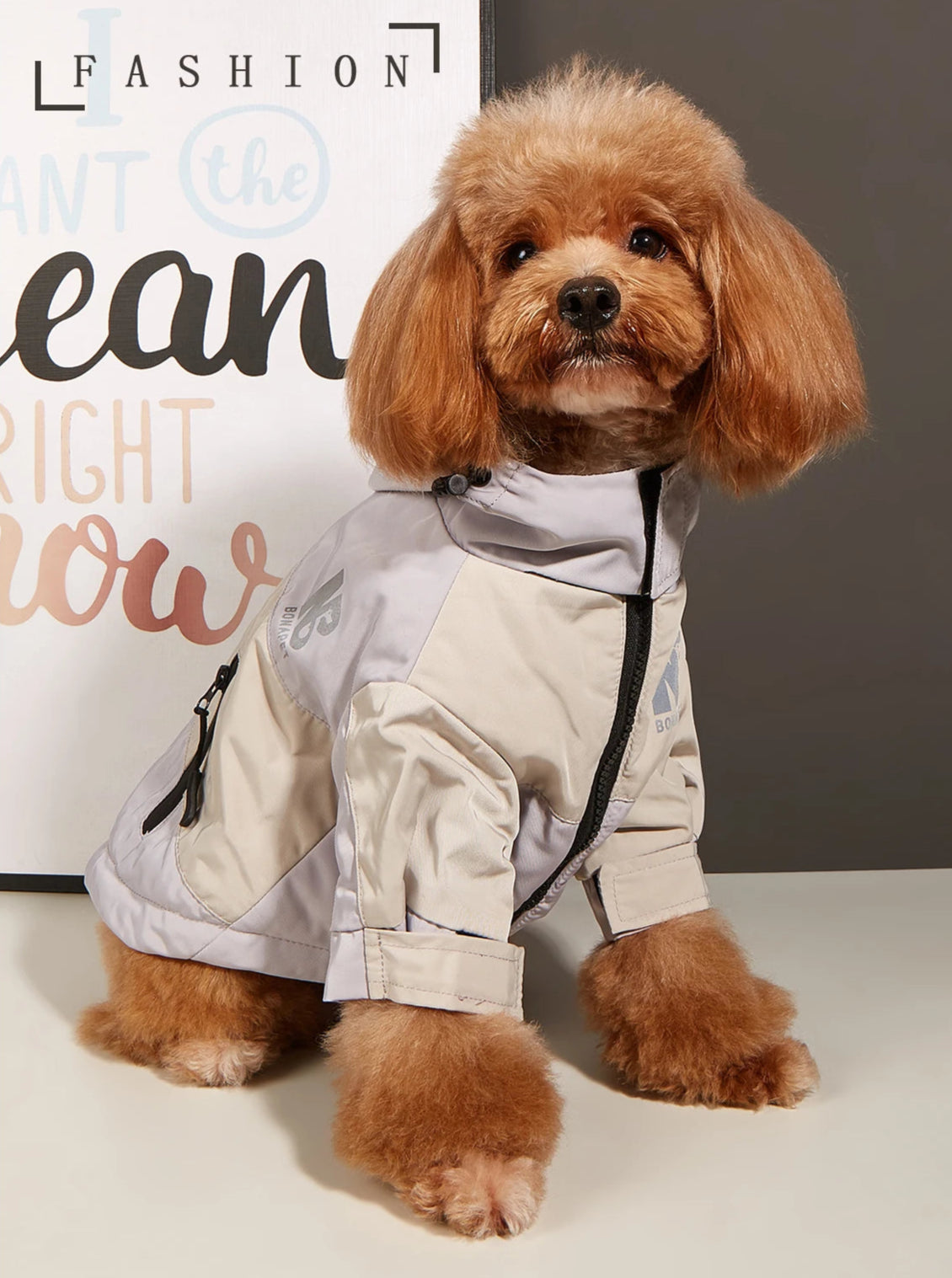 Veste imperméable & polaire BONAPET