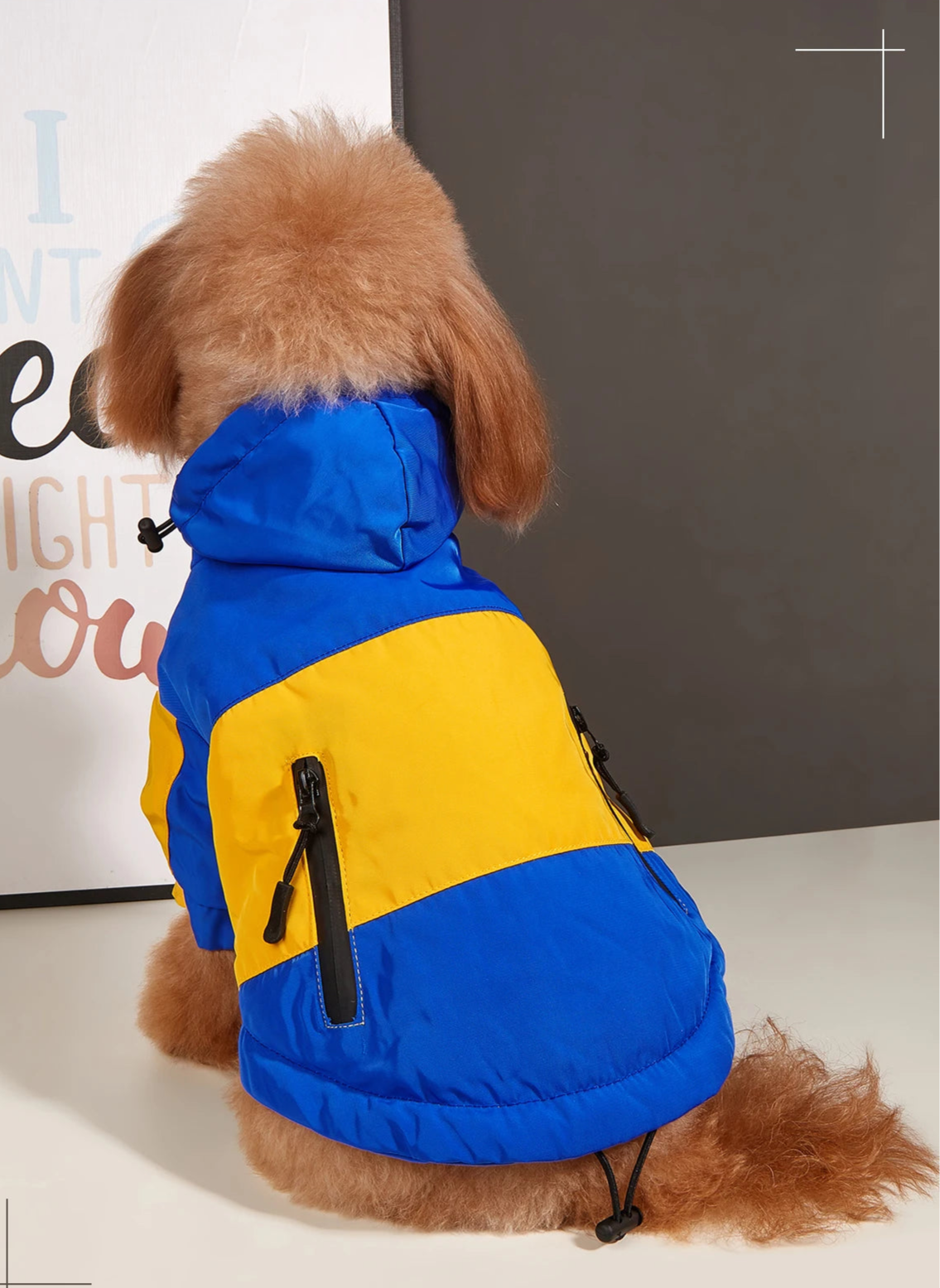 Veste imperméable & polaire BONAPET
