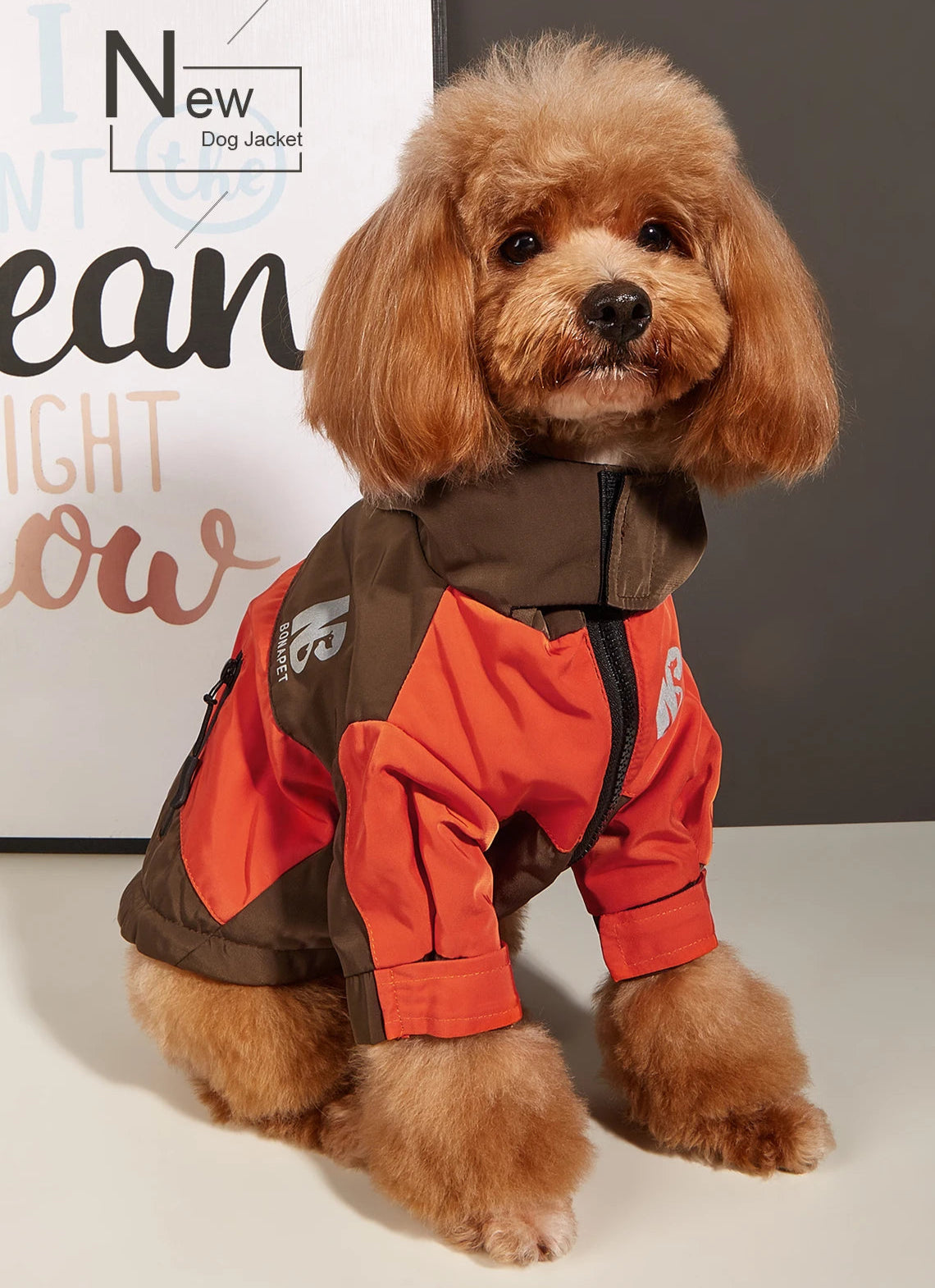 Veste imperméable & polaire BONAPET