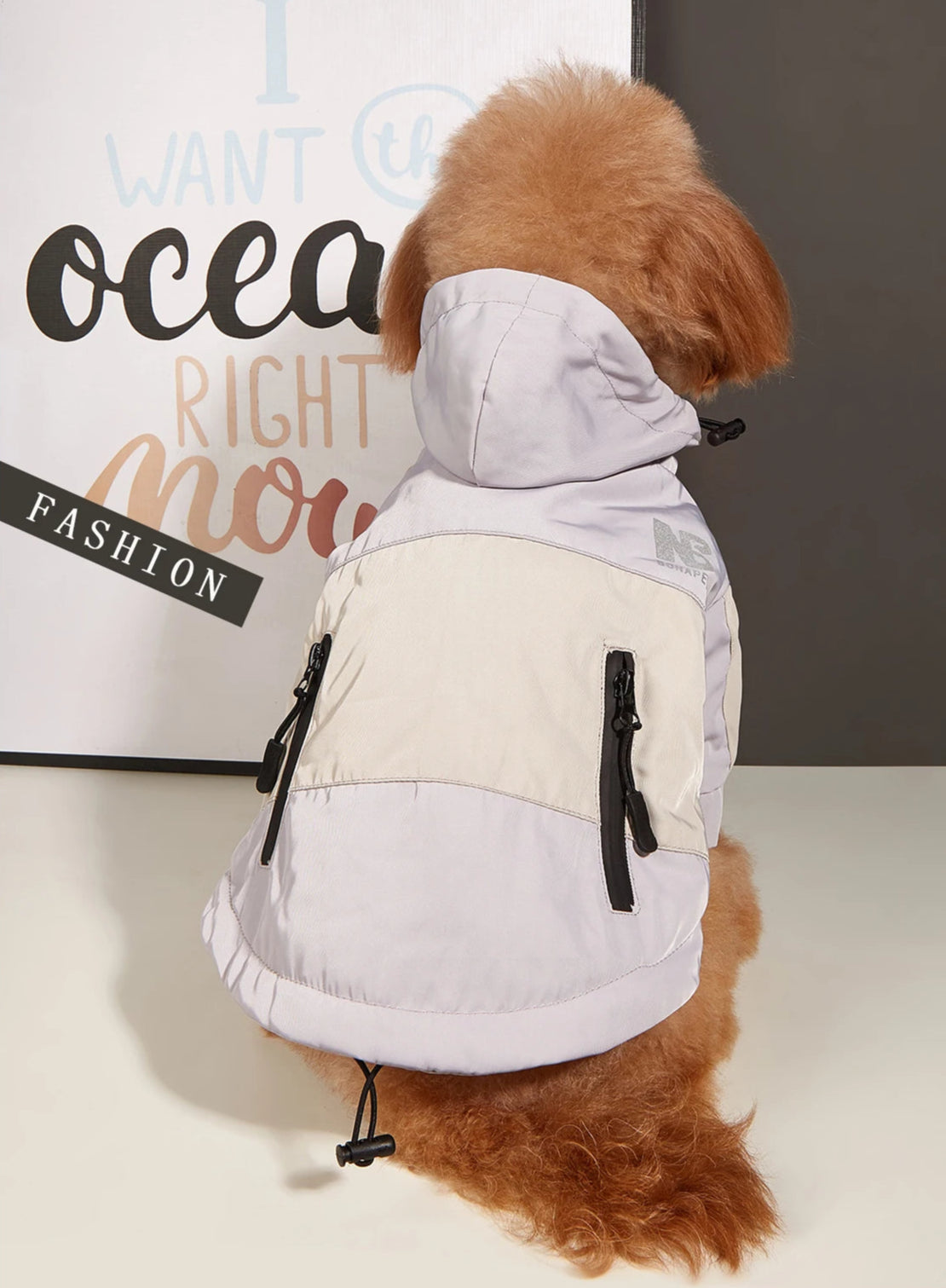 Veste imperméable & polaire BONAPET