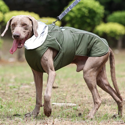 Veste imperméable rembourrée OCHO